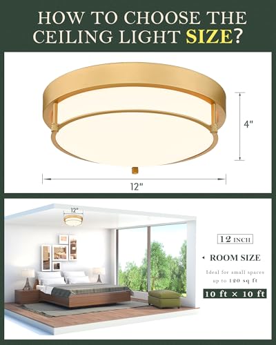 12 Inch Brass Gold Finish 2-Light Ceiling Mount Light Fixture for Hallway Kitchen Bedroom – Modern Design
