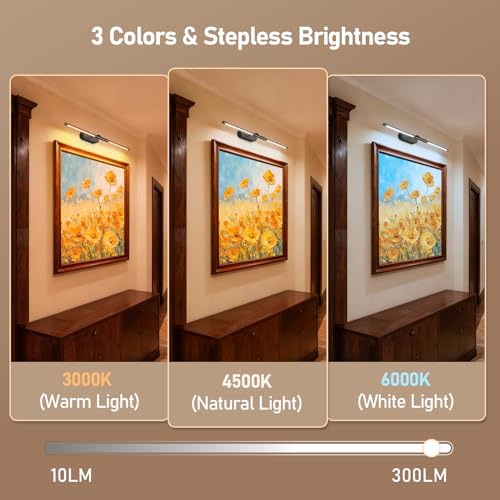 Black 24-Inch Rechargeable Wireless Picture Light for Artwork, Remote Control