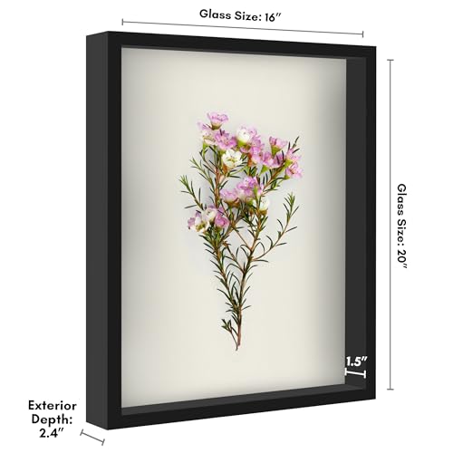 Americanflat 16x20 Shadow Box Frame - Black Wooden Display with Felt Back & Deep Interior