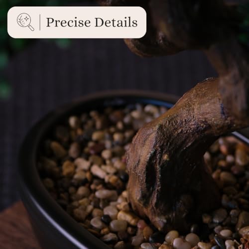 Permaplants Cypress Artificial Bonsai Tree 16" - Realistic Fake Plant for Home Office Decor
