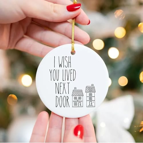 Funny Friendship Ornament,Friendship Ornament Dumb Gifts for Friends,Personalized Friend Christmas Ornaments Pendant for Best Friends BFF Bestie Soul Sister Gift (I'd Shank a Bitch for You)