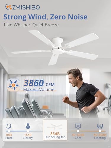 ZMISHIBO 52 Inch Ceiling Fan No Light, Flush Mount Low Profile, White