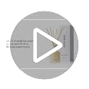 Apotheke Scented Reed Diffuser for Home, White Vetiver, 10 Sticks
