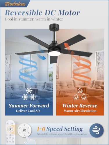 Large Ceiling Fan with Lights - 48 Inch Black Remote-Controlled Modern Fan