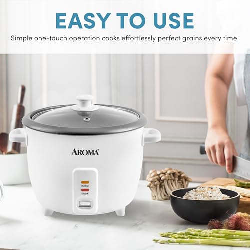 8-Cup (Uncooked) Rice Cooker with One-Touch Control - 16-Cup Cooked Capacity