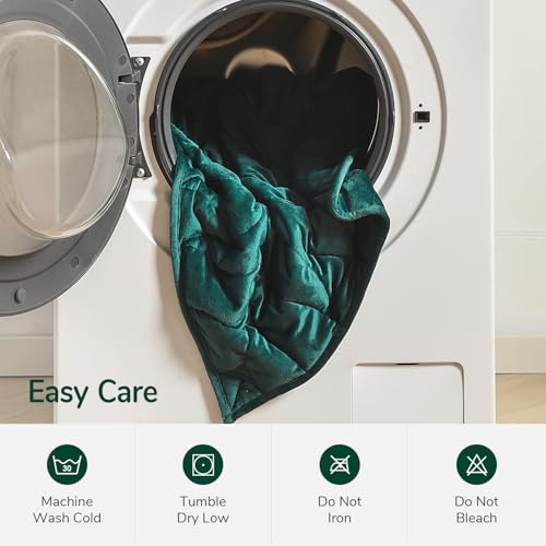Weighted Blanket for Adults - 20 lbs, 60x78 Inches, Leaf-Inspired, Washable, Green - Variation of THIS listing
