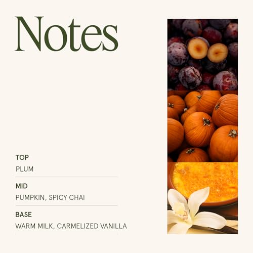 LA JOLIE MUSE Pumpkin Chai Scented Candle - 19 oz Natural Soy Wax, Cozy Fall Home Fragrance