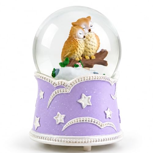 Mr.Winder Owl Snow Globe Music Box with Color Lights - Musical Decor Gift