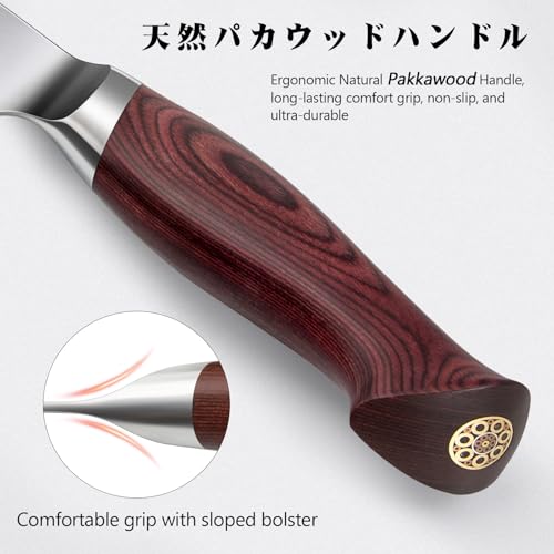 8 Inch High Carbon Japanese Steel Chef Knife - SANMEIHO G5 Laminated Blade