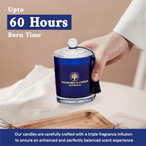 Cosmopolitan Scented Soy Candle - Hand Poured Australian Luxury Candle, 11.66 oz, Long-Lasting & Strong Fragrance, Natural Citrus Gift, Vari: Cosmopolitan
