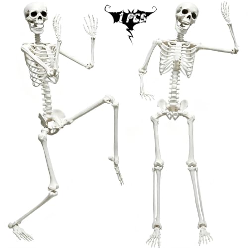 5.9FT Life Size Skeleton with Movable Joints - Halloween Full Body Decor, 1 Pack