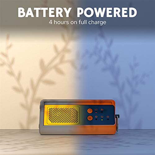 Portable Ozone Generator 1000mg/h for Odor Removal - Blue (Variation of THIS listing)