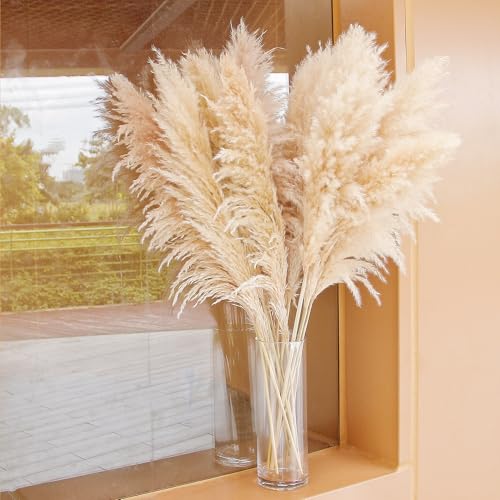 40 Inch Natural Pampas Grass Stems - Boho Wedding & Home Decor - Variation of THIS listing