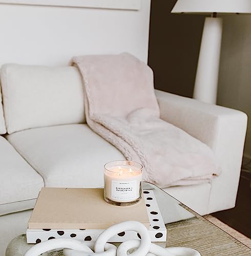 Calyan Wax Co. Apples & Maple Bourbon 3 Wick Scented Candle - 43 Hour