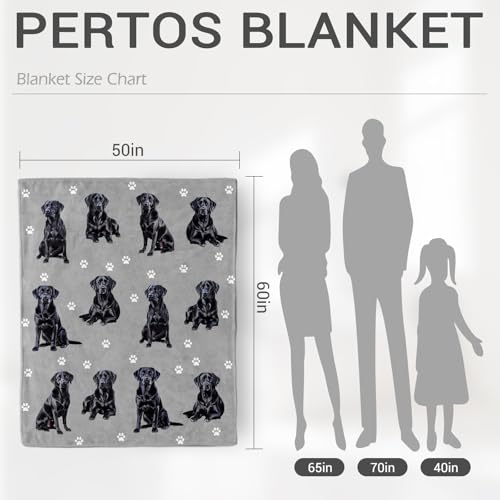 Labrador Retriever Gifts Blanket, Black Lab Dog Decor 80"x60"