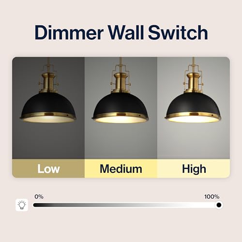 Jonathan Y Homer 13-inch Black Brass Industrial Dome Pendant Light - Modern Ceiling Fixture with LED Bulb Included