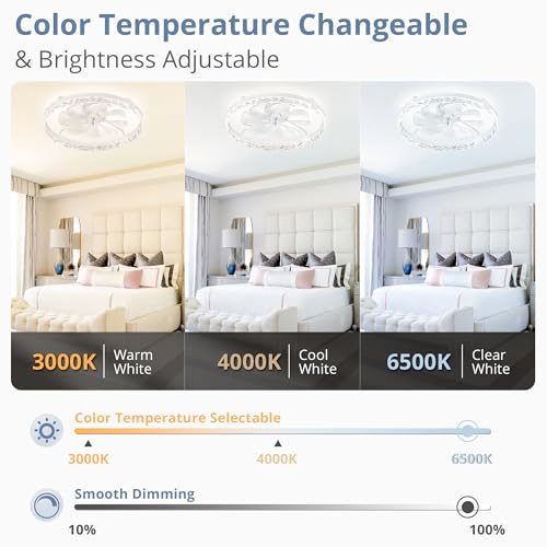 LEDIARY 24-Inch White Ceiling Fan with Lights and Remote - Fandelier, Adjustable Brightness & Colors