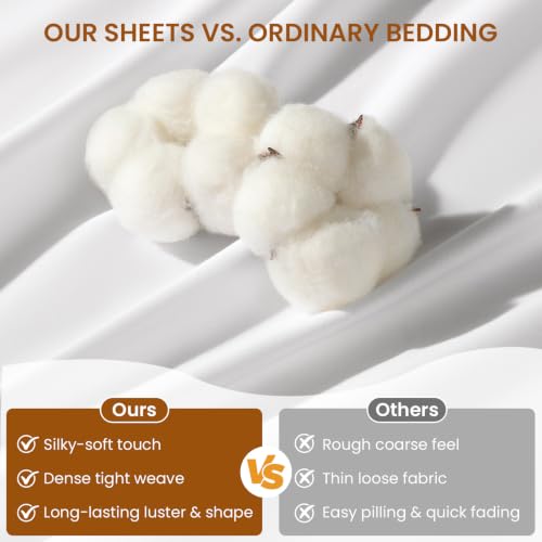 Queen Egyptian Cotton Bed Sheet Set 1000 Thread Count White - Durable & Soft