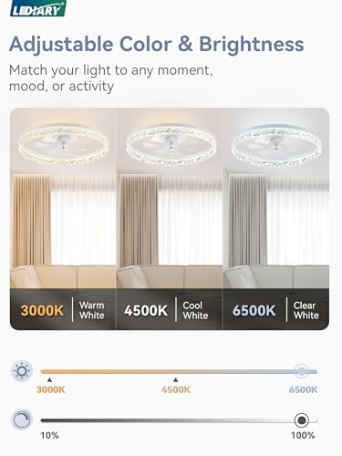 20 Inch Ceiling Fan with Lights and Remote Control - Reversible Motor, Dimmable, White, Variation of THIS listing