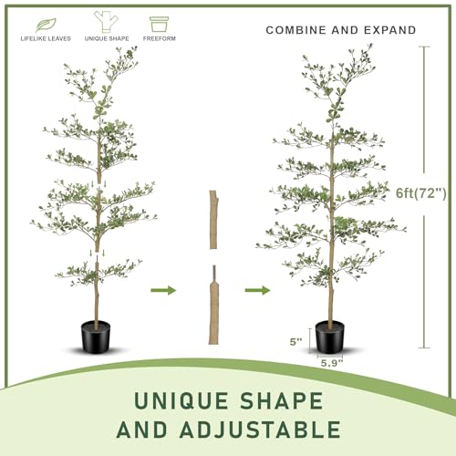 6ft Artificial Black Olive Tree with Natural Trunk - Realistic Foliage, Shaping Allowed