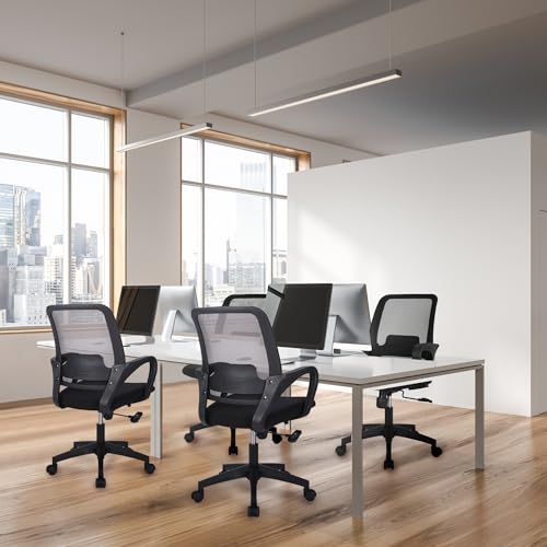 NEO CHAIR Home Office Desk Ergonomic Mesh with Lumbar Support, Black