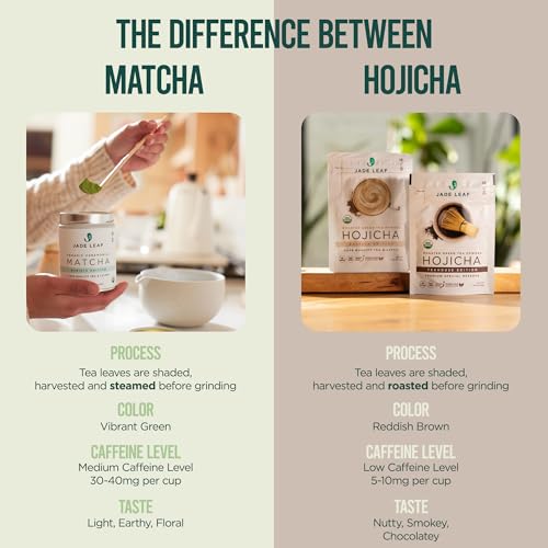 Hojicha Roasted Green Tea Powder - Organic Japanese Matcha Style, 16oz - Barista Edition