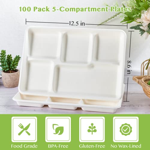 ECOLipak 12.5 x 8.6 Inch Compostable 5-Compartment Paper Plates 100 Pack