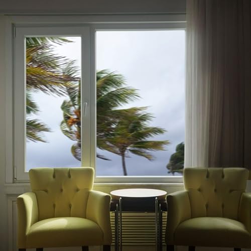 Window Film Security and Safety 8 Mil - 36in x 12ft Clear Impact-Resistant