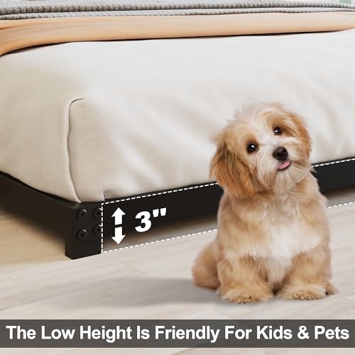 Full Size Low Profile Bed Frame - 3 Inch Metal Platform, No Box Spring Needed