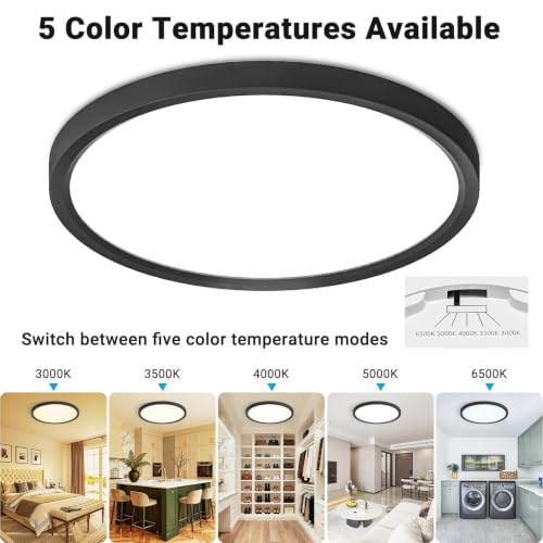Black 12-Inch LED Flush Mount Ceiling Light 5 Color Temperatures - 2 Pack