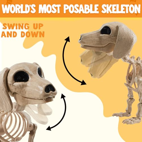 24-Inch Poseable Halloween Dog Skeleton Prop for Indoor Outdoor Decor