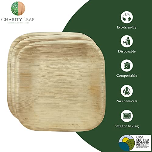 Charity Leaf Disposable Bamboo Square Plates 6-inch - Pack of 200, Eco-Friendly Catering Serveware