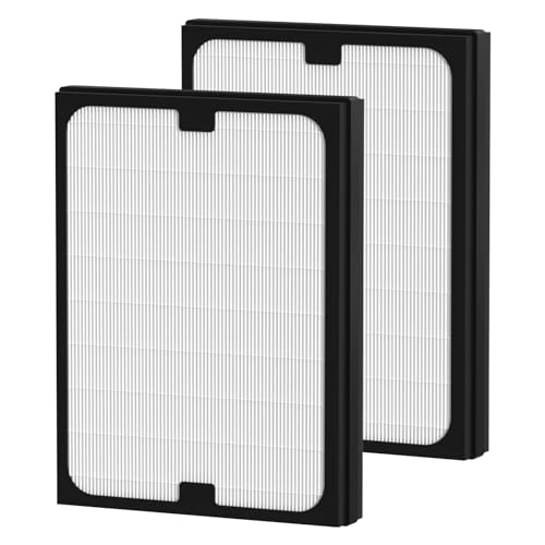 Ganteny Particle Filter Replacement for Blueair 200/300 Series Air Purifiers - 2 Pack, HEPA Filter, Compatible with Models 201-303, Air Cleaner, Vari: Particle Filter