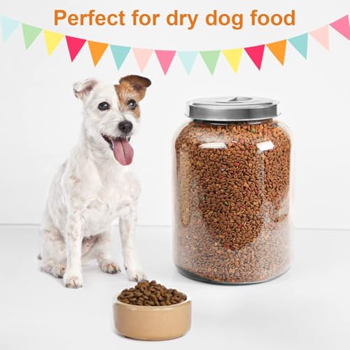 Daitouge 5.5 Gallon Large Glass Storage Jar with Lid, 21000ml, 1 Pack