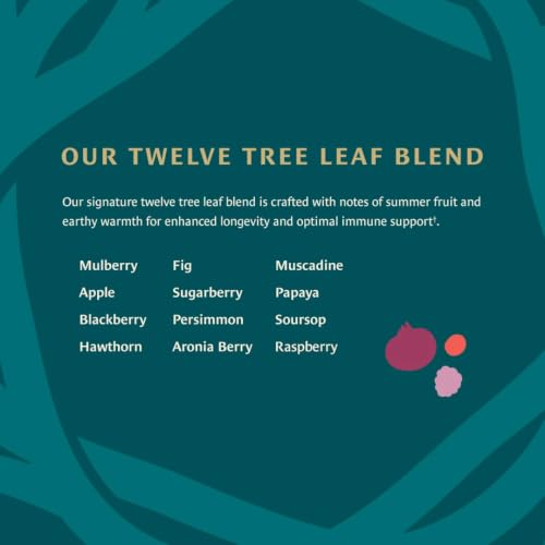 Healing Leaves Longevity Blend Organic Tea Bags - Immune & Digestive Support, 30 Count