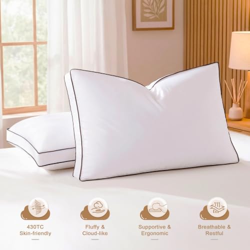 DOWNSTORIA Standard 2-Pack Goose Feather Down Pillows Luxury Hotel Collection
