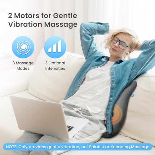 CILI Heated Lumbar Support Pillow for Office Chair, Ergonomic Back