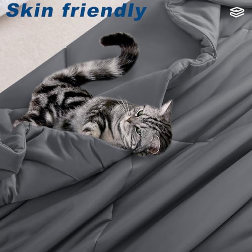 Bedsmile Queen Size Cooling Comforter Dark Gray 90x90 Inches - Breathable Ice Bed Blanket for Hot Sleepers