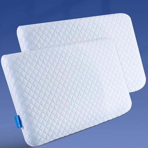 SofGlowly 2-Pack Ultra Thin Cooling Memory Foam Pillows 2.75" Low Profile Standard Size