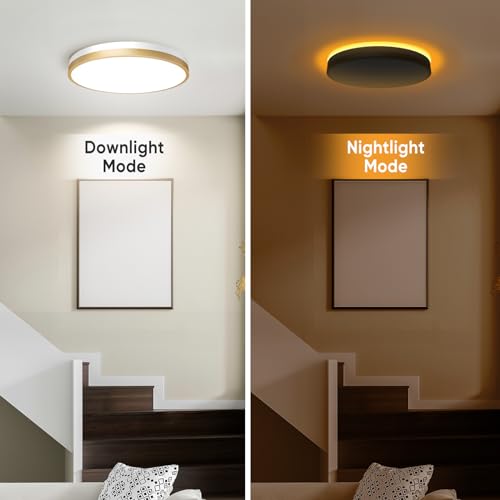 Lightania 18 Inch White Gold Flush Mount LED Ceiling Light with Remote, Dimmable & Night Light
