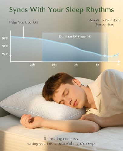 Dioris Queen Size Cooling Pillow Set of 2 Blue - Breathable Supportive Bed Pillows
