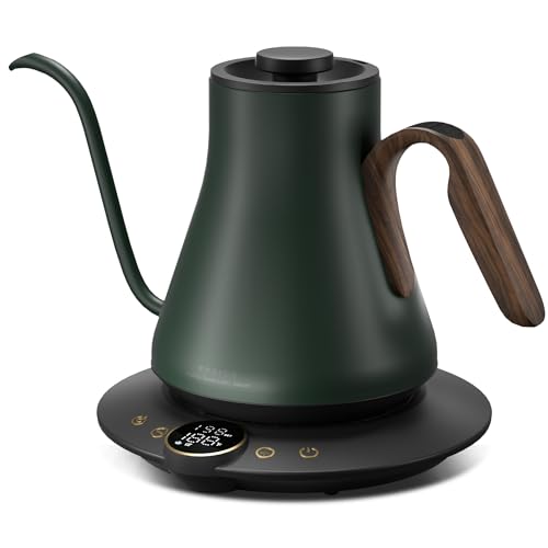 INTASTING Gooseneck Electric Kettle with ±1℉ Temperature Control 0.9