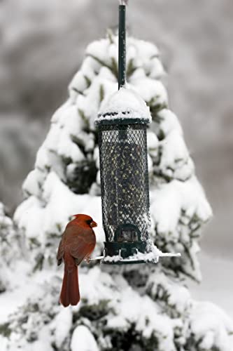Mini Squirrel-Proof Bird Feeder - 1 Pack, Seed Saver, Compact Design
