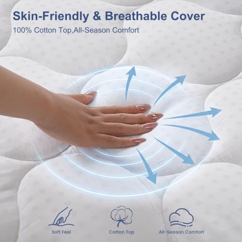 LEISURE TOWN White Queen Cotton Mattress Pad Fitted Quilted Cover