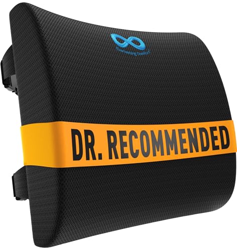 Everlasting Comfort Lumbar Support Pillow for Office Car or Couch - Black Mesh