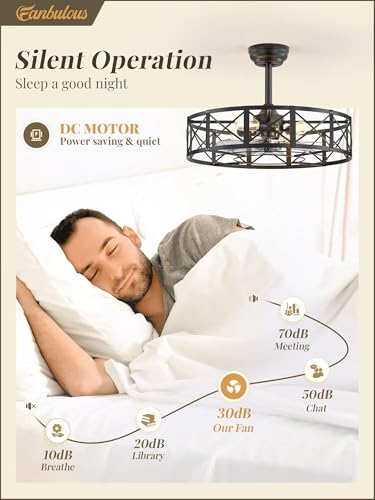 Fanbulous 23-Inch Black Caged Ceiling Fan with Light & Remote Control