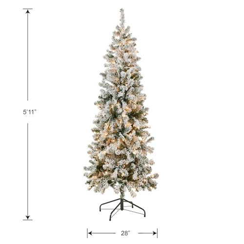 6ft Pre-Lit Flocked Acacia Artificial Christmas Tree - National Tree Company