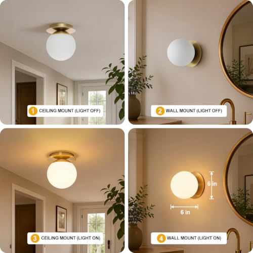 Brushed Gold 2-Pack Modern Globe Wall Sconces for Bedroom Bathroom & Living Room