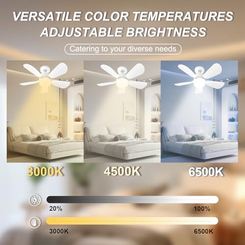New White 2Pack Ceiling Fan Light Kit with Remote, Dimmable 3 Color Modes 3000K-6500K