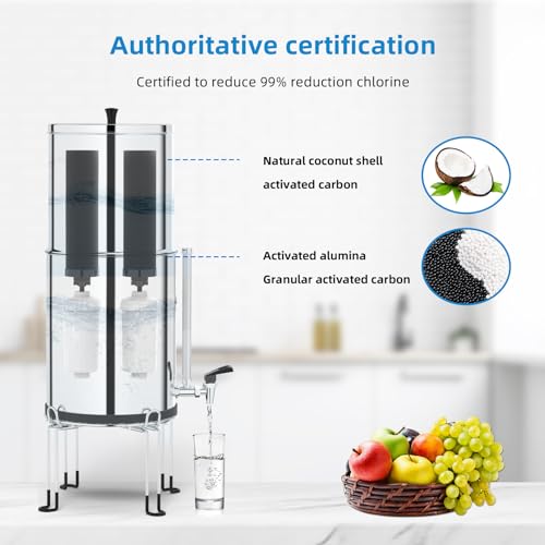Virego Black & White Set Water Filter Replacement for Berkey Gravity System - 4 Pack